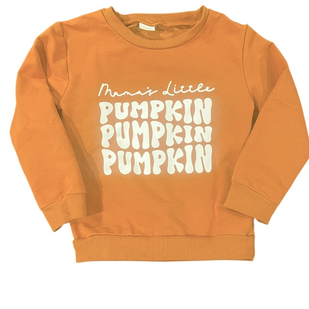 CUTE! Orange Pumpkin Sweatshirt Girls 2 yr Halloween Shirt LIKE NEW - Picture 2 of 3